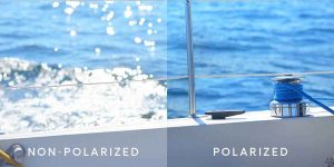 are polarized sunglasses worth it