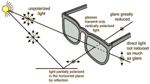 what are polarized sunglasses
